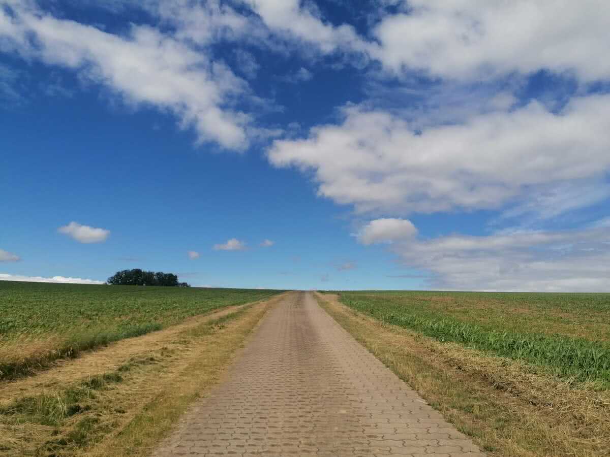 05 zwischen Feldern entlang