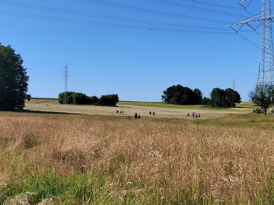 Wandern durch Feld und Wiese